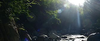 岐阜県
