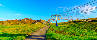 新潟県