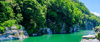 埼玉県